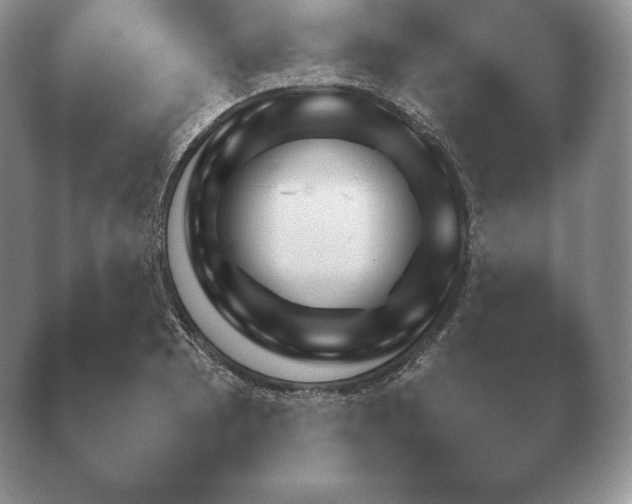 X0000040731081200410201645.png