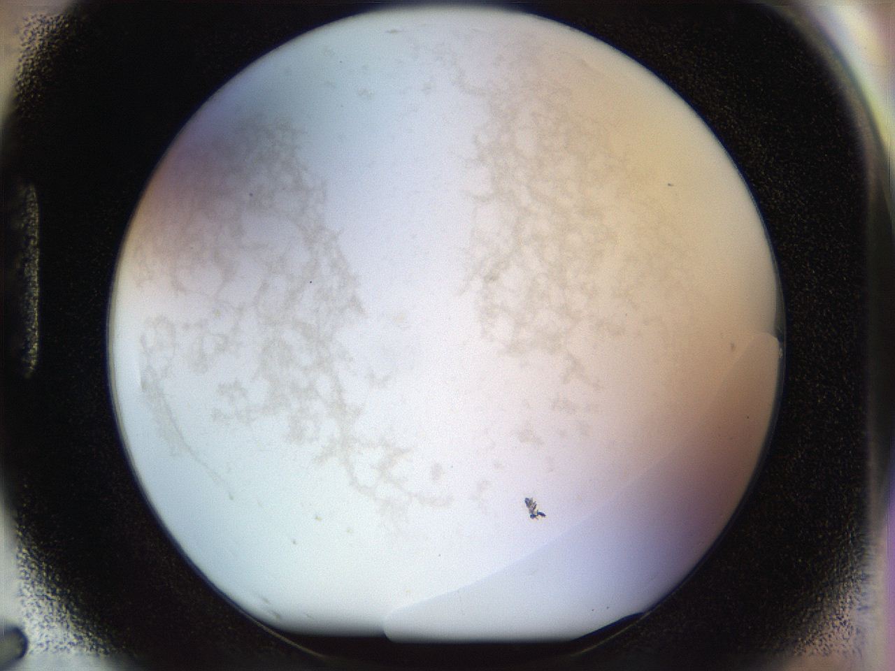 056q_H7_ImagerDefaults_2.jpg