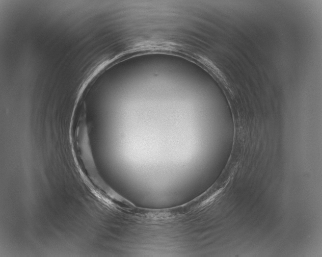 X0000055210893200508301319.png
