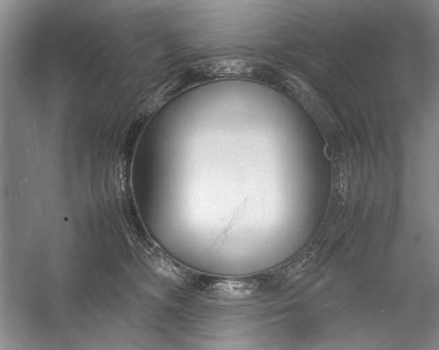 X0000055060326200508161652.png