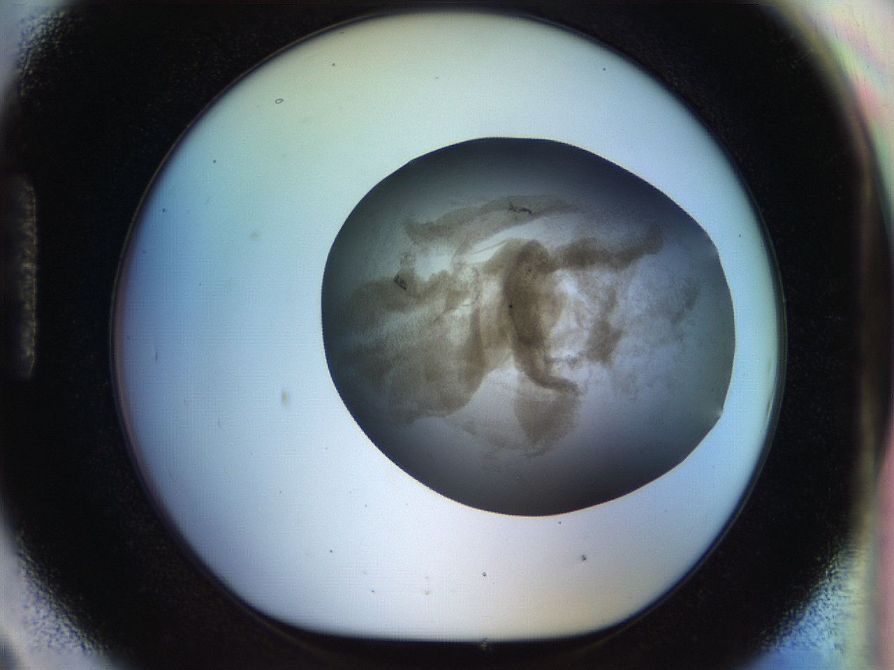 056q_H9_ImagerDefaults_3.jpg