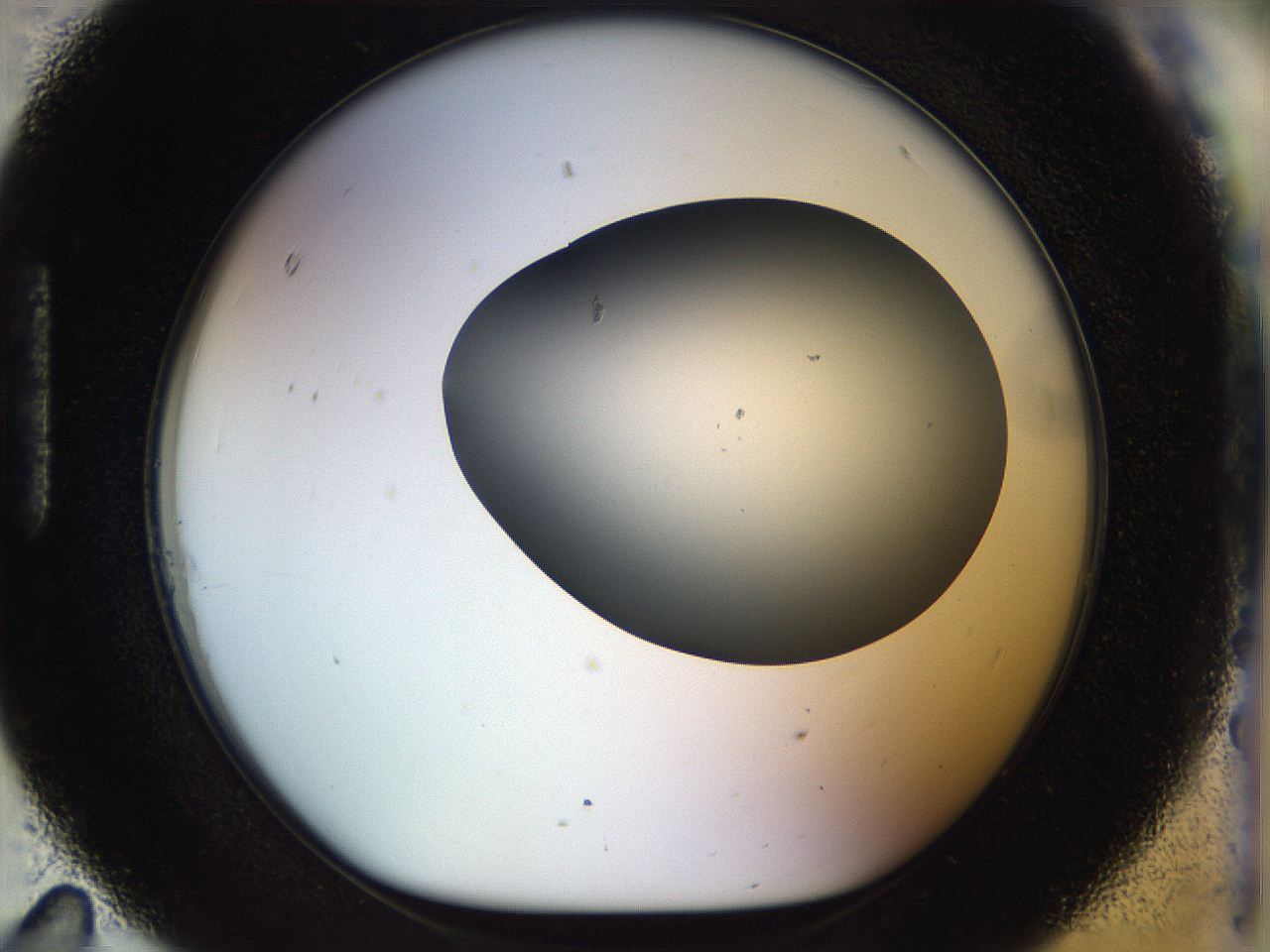 056q_H11_ImagerDefaults_0.jpg