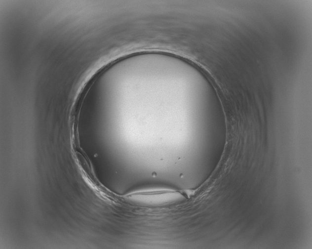X0000055211511200508301308.png