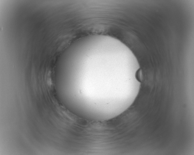 X0000054330962200508111915.png