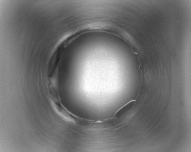 X0000054330530200508111921.png