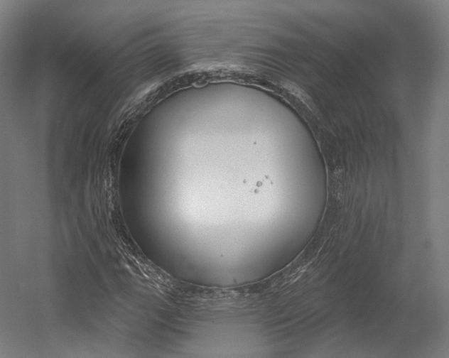 X0000055211111200508301314.png