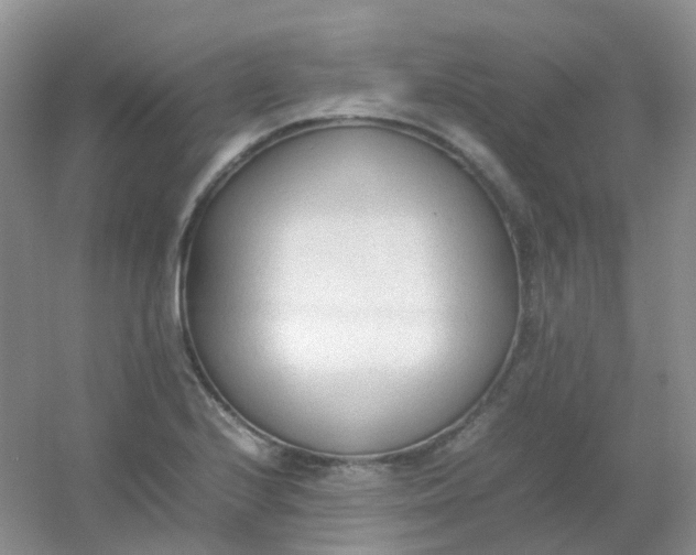 X0000054331224200508111910.png