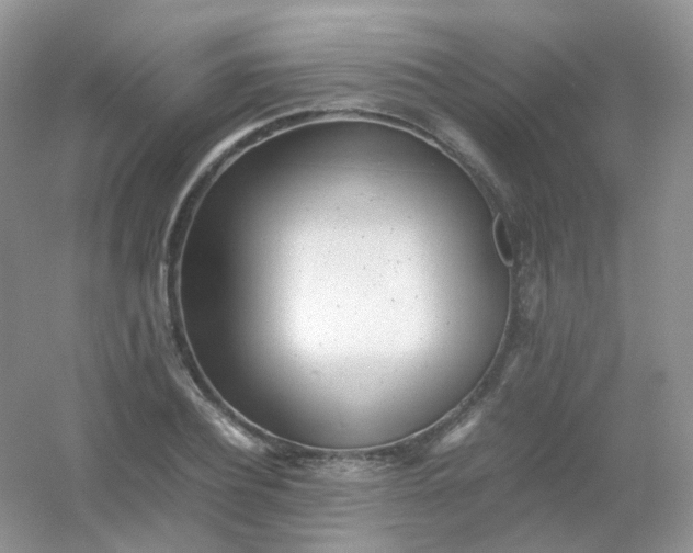 X0000054330932200508111915.png