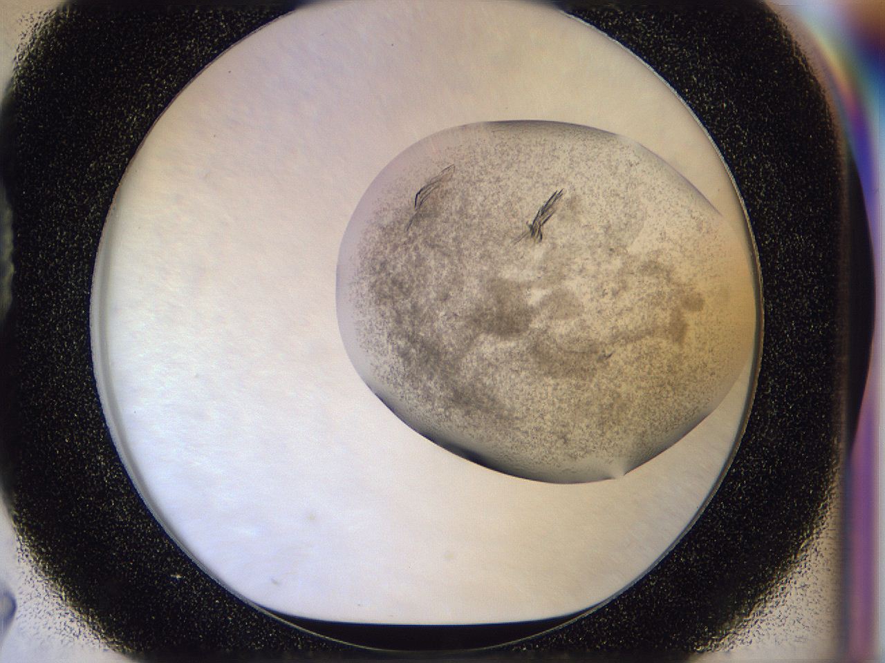056r_D7_ImagerDefaults_9.jpg