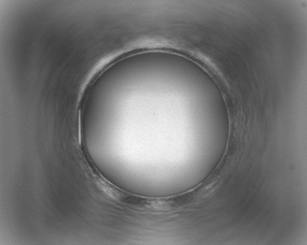 X0000054331175200508111911.png