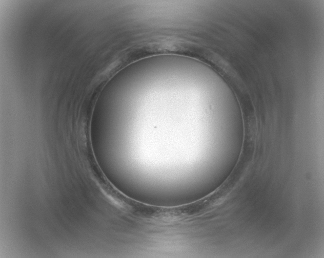 X0000054330489200508111923.png