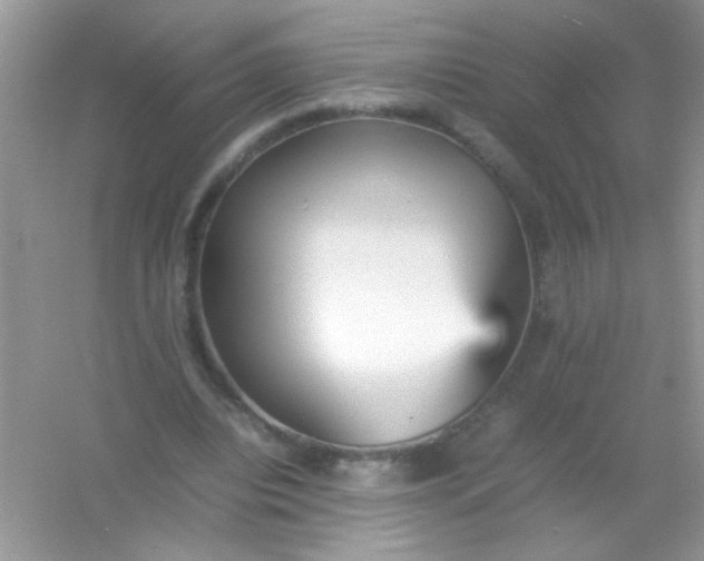X0000054330440200508111923.png