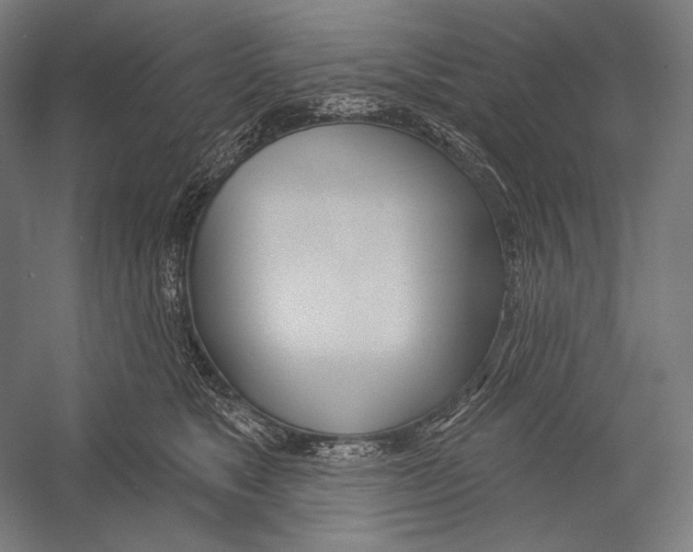 X0000055250517200509071619.png
