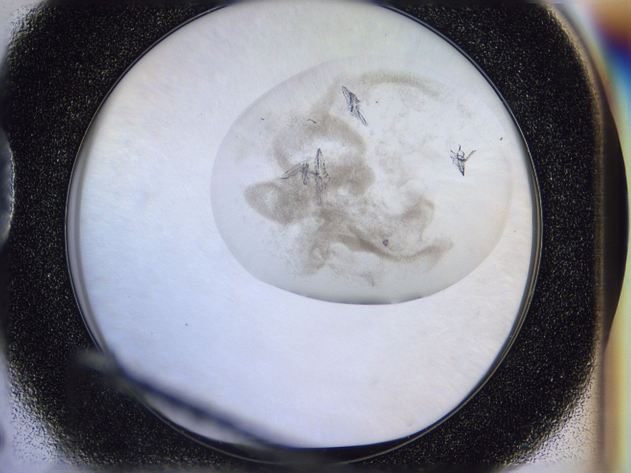 056r_D5_ImagerDefaults_9.jpg