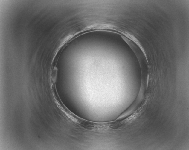 X0000055060997200508161641.png