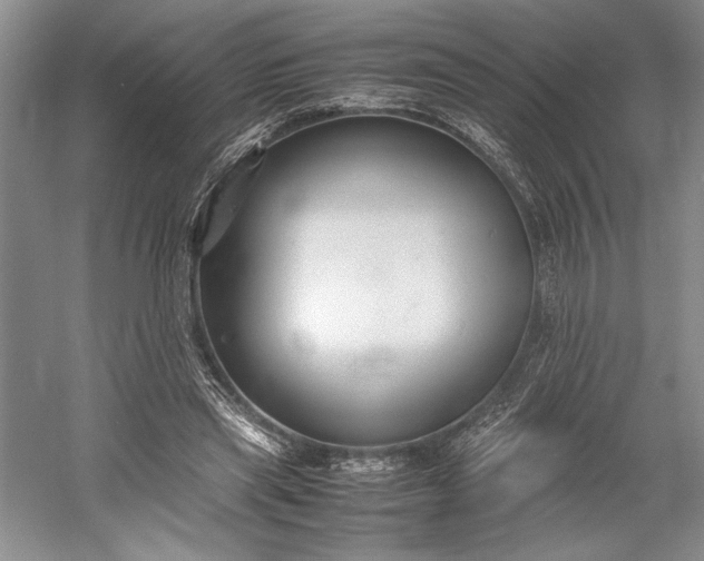 X0000055060445200508161650.png