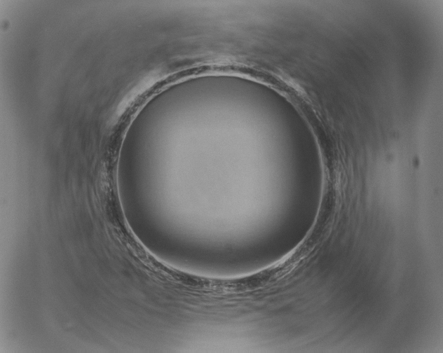 X0000054651263200508091632.png