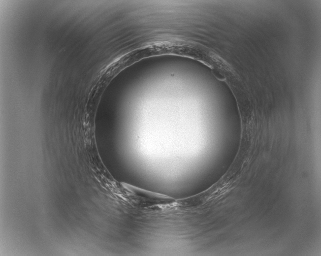 X0000055060822200508161643.png