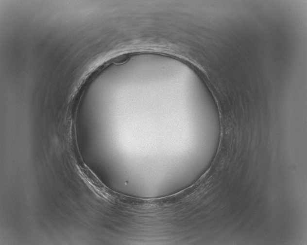 X0000055211507200508301308.png