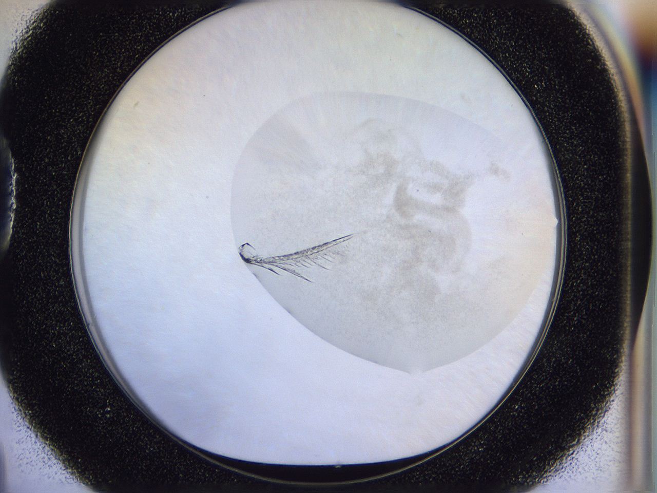 056r_D4_ImagerDefaults_9.jpg