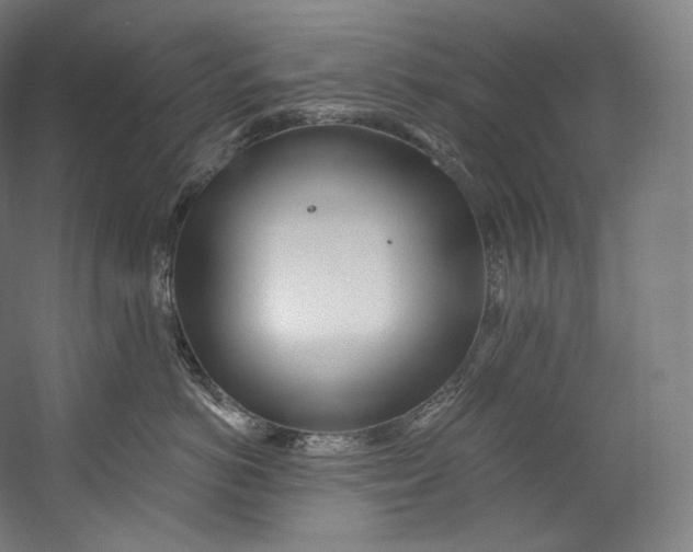 X0000055210766200508301322.png