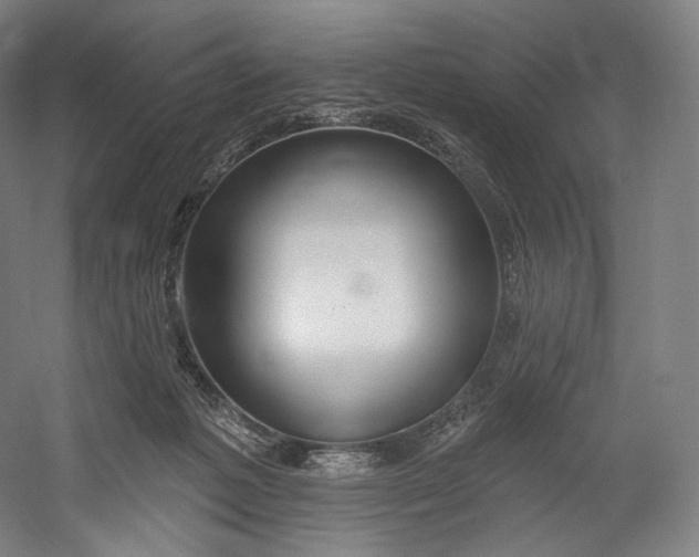 X0000055210221200508301330.png