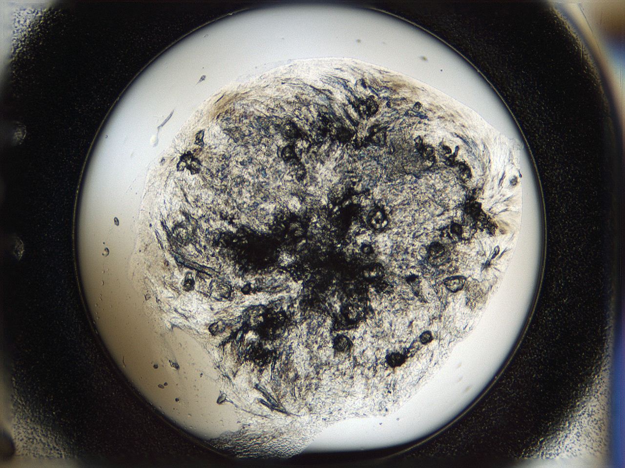 056s_E6_ImagerDefaults_9.jpg