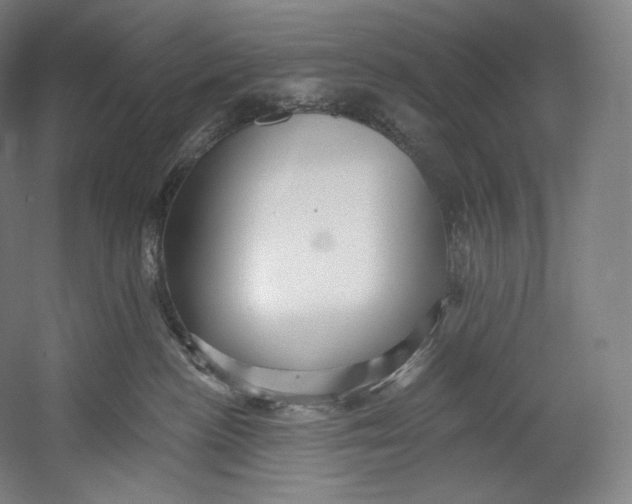 X0000055210188200508301331.png