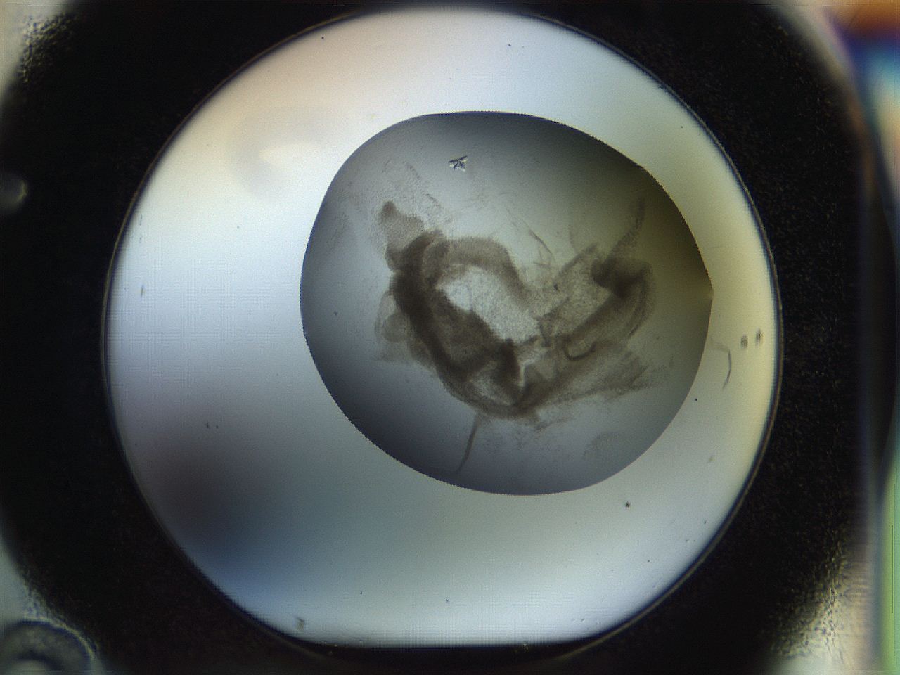 056s_F10_ImagerDefaults_9.jpg