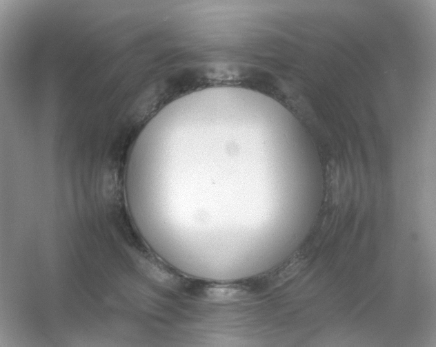 X0000054330614200508111921.png