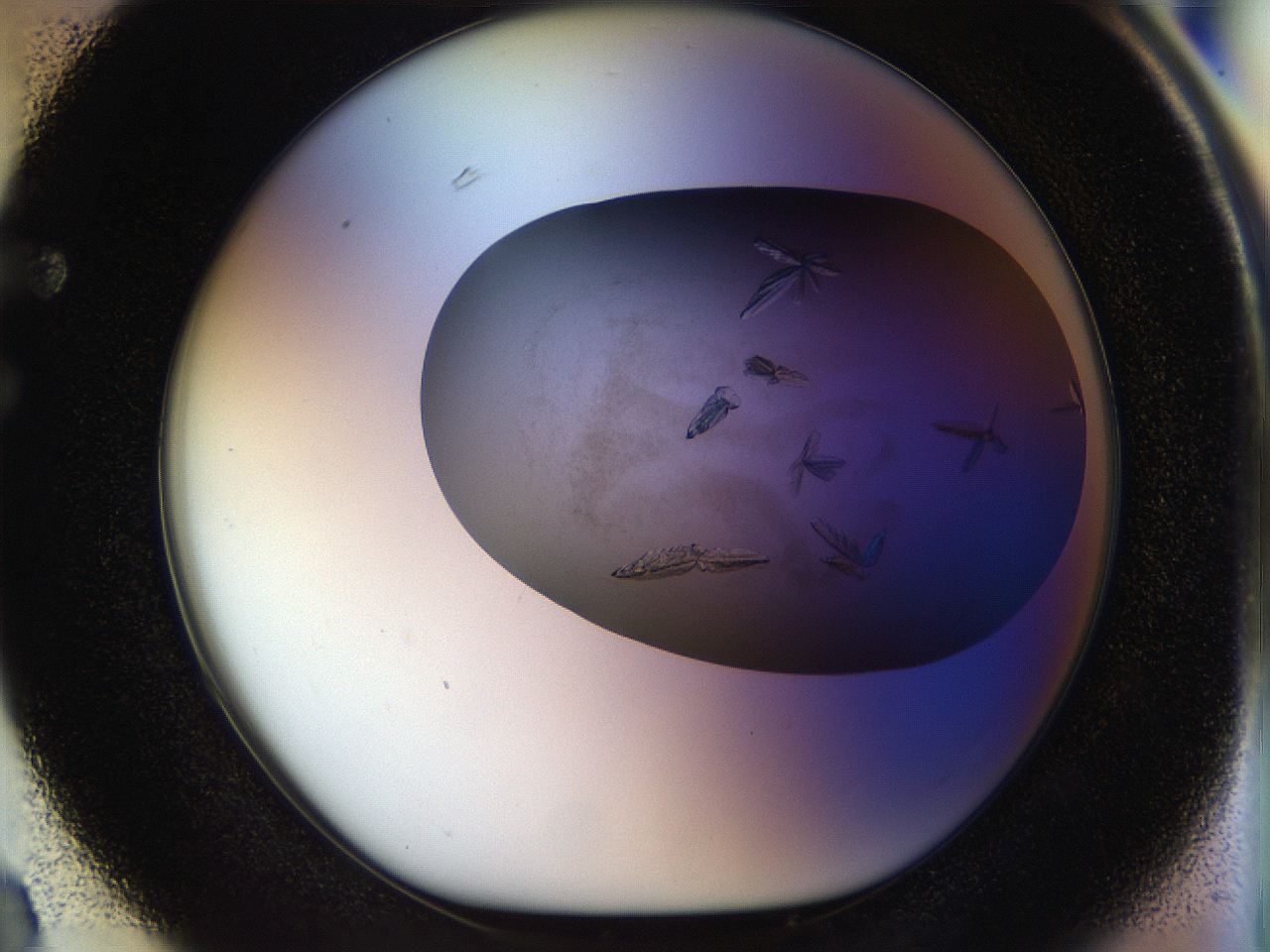 056s_F3_ImagerDefaults_9.jpg