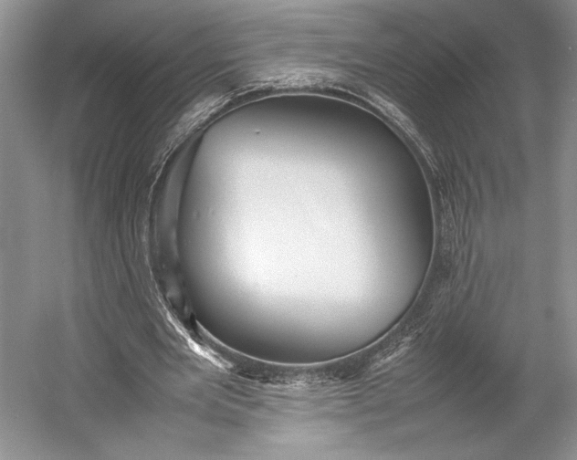 X0000055060485200508161649.png