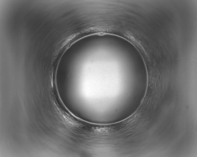 X0000055060062200508161656.png