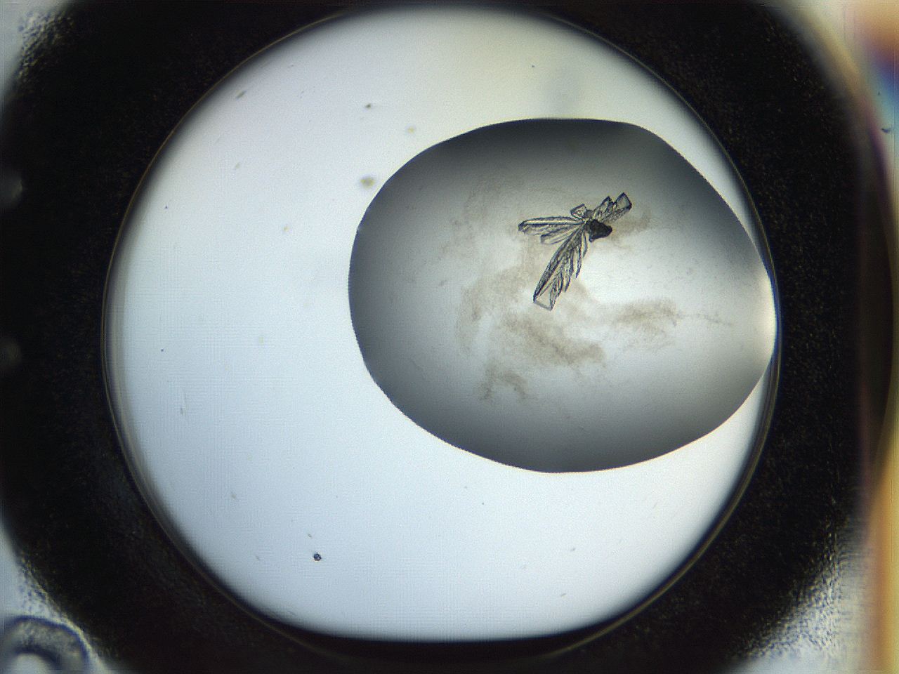 056s_E10_ImagerDefaults_9.jpg