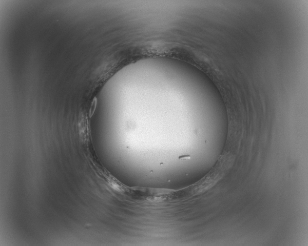 X0000055060624200508161647.png