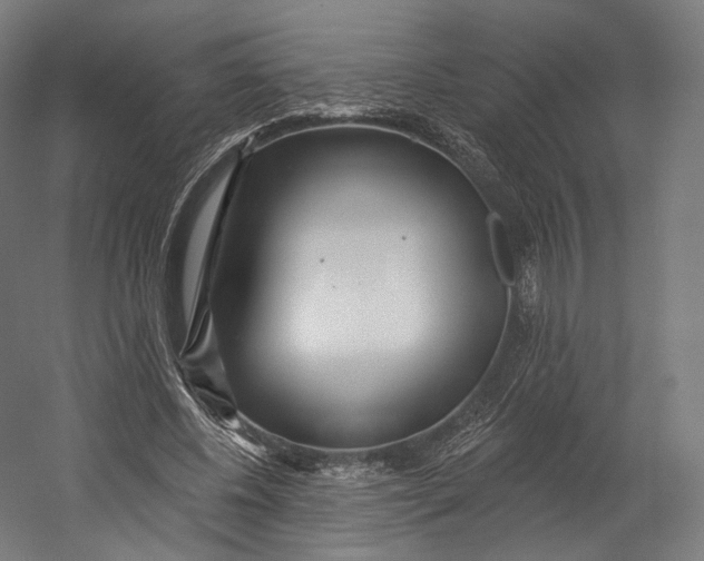 X0000055210540200508301324.png