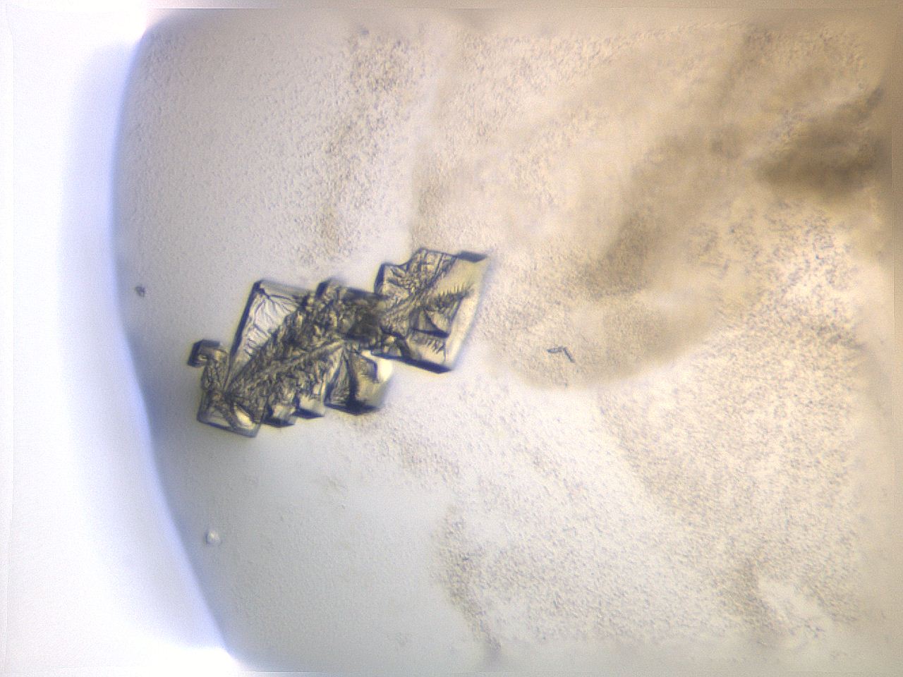 056s_G12_ImagerDefaults_9.jpg