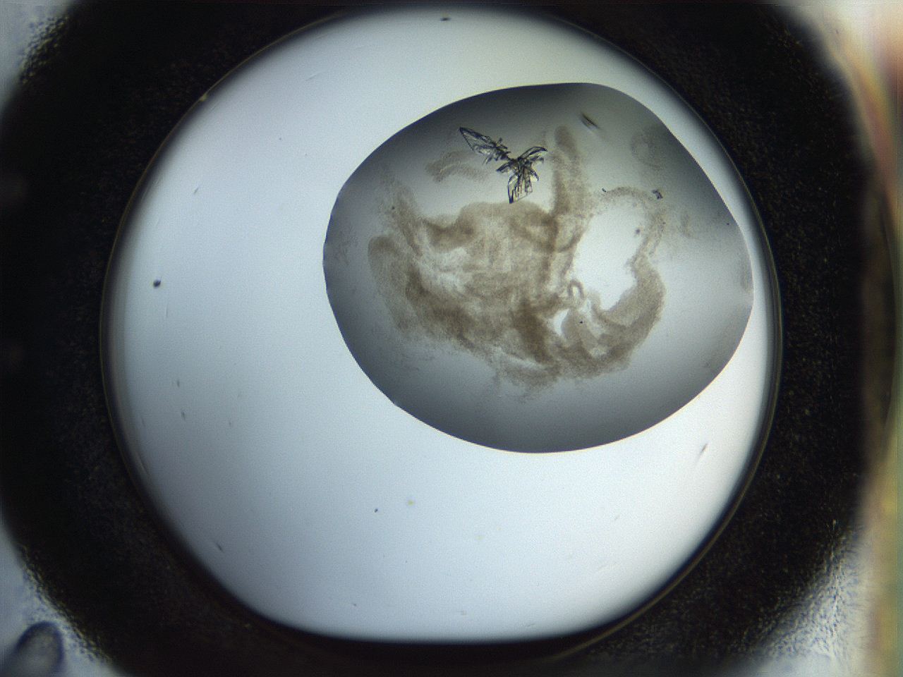 056s_E11_ImagerDefaults_9.jpg