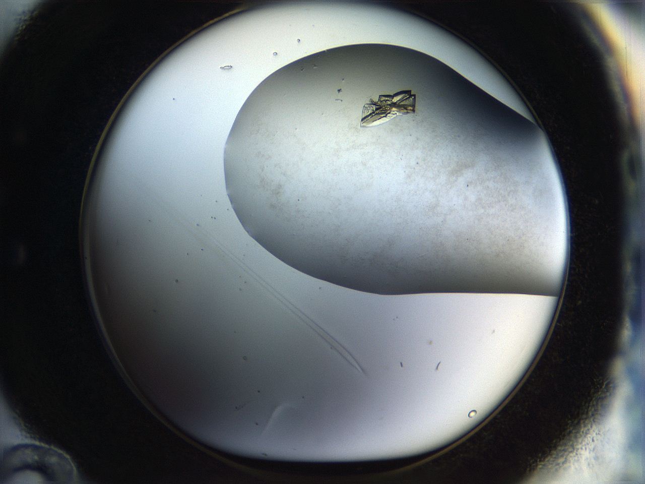 056s_E12_ImagerDefaults_9.jpg
