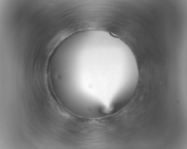 X0000054330290200508111926.png