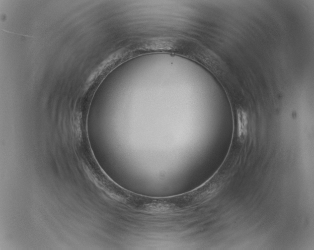 X0000054650300200508091648.png