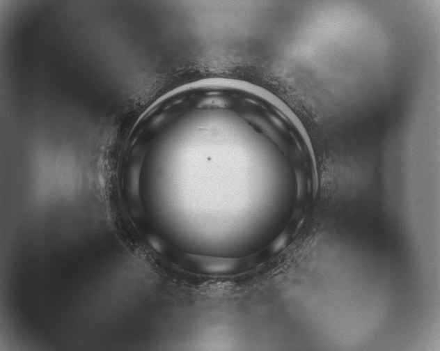 X0000045450452200502011701.png
