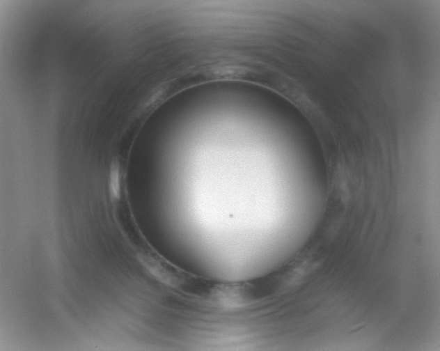 X0000054330076200508111930.png