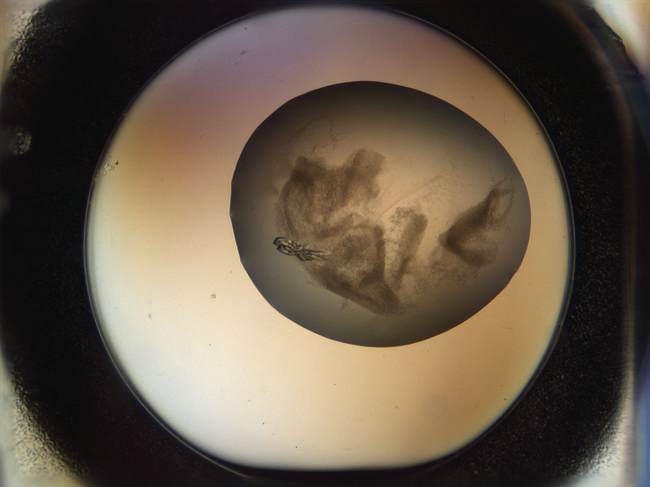 056s_F1_ImagerDefaults_9.jpg