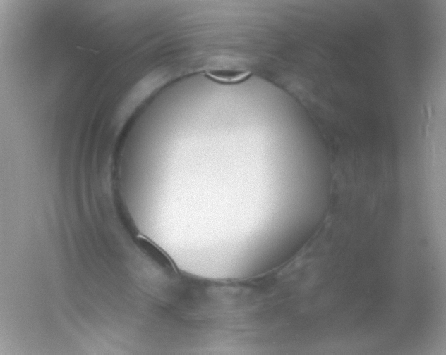 X0000054330242200508111926.png