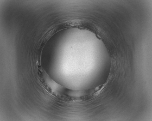X0000055210170200508301331.png