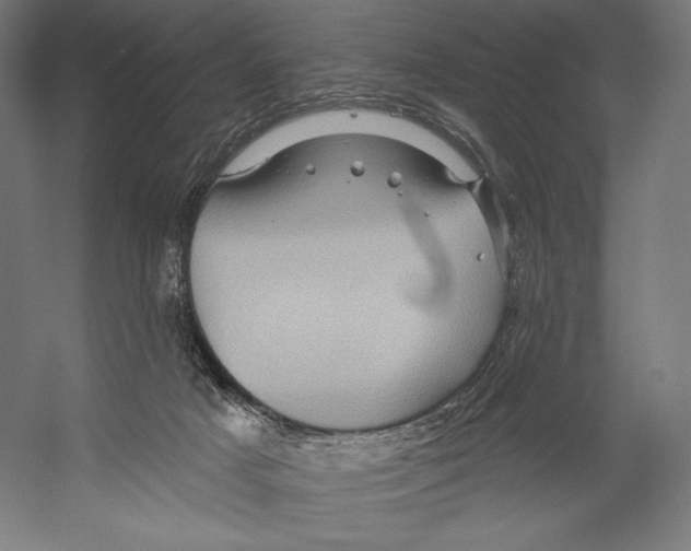 X0000055250025200509071627.png
