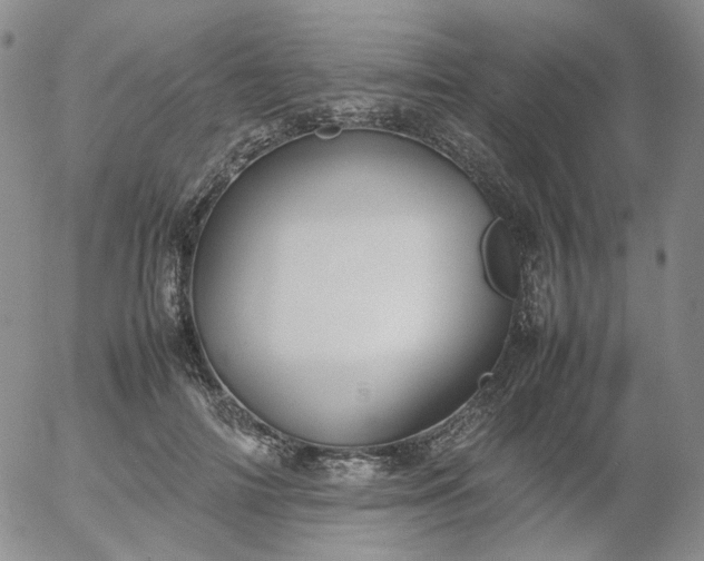 X0000054650698200508091642.png