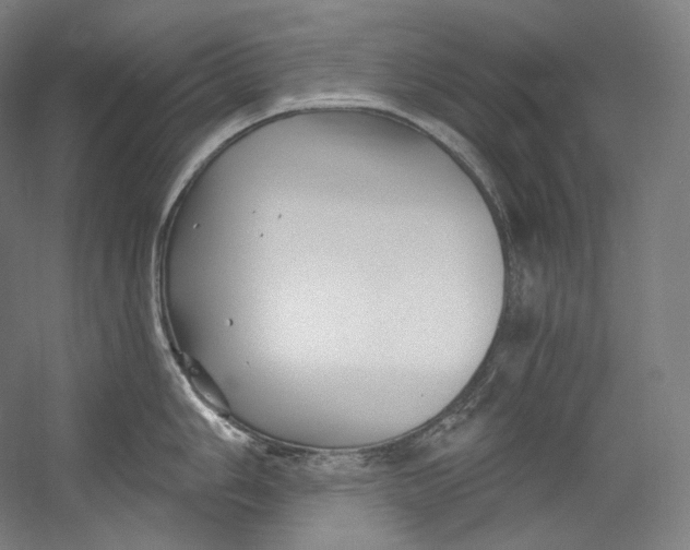 X0000055211006200508301317.png