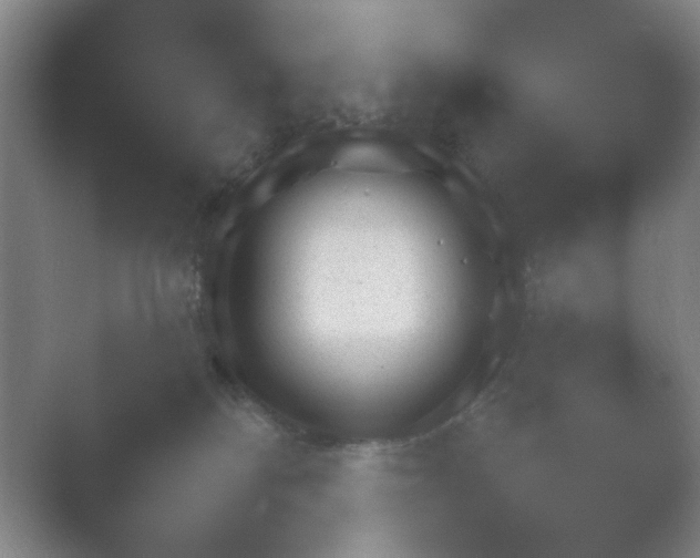 X0000054110134200508022109.png